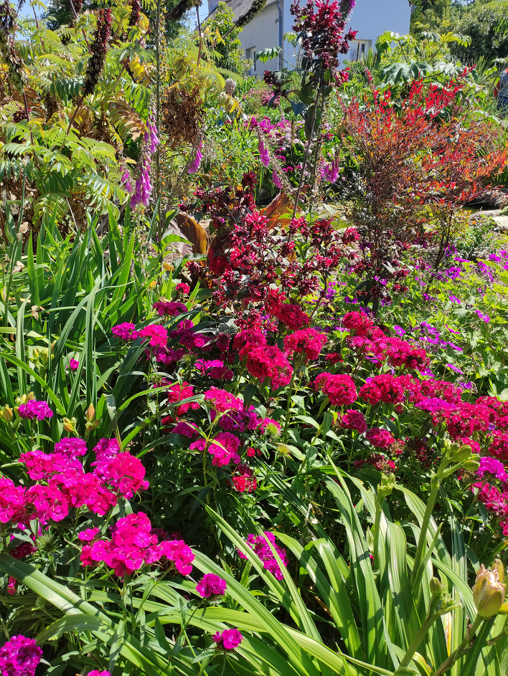Jardin à Landrévarzec